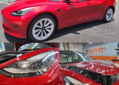 Professional Paint Protection